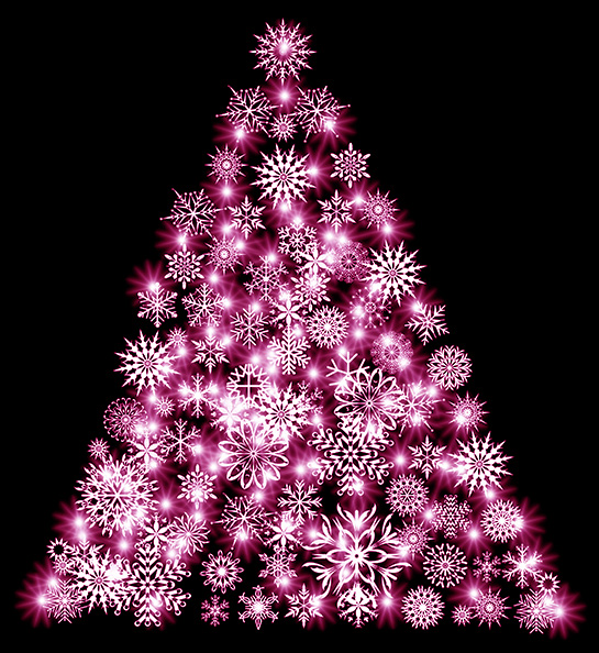 Peppersinn Werbeagentur Web Wien Website Grafik Bewerbung Christkindl